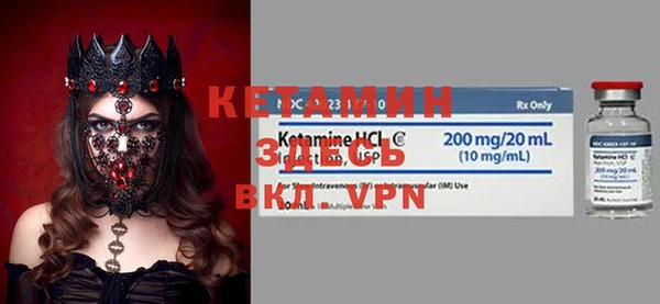 шишки Новодвинск