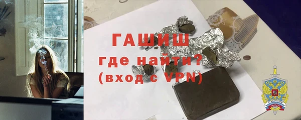 шишки Новодвинск