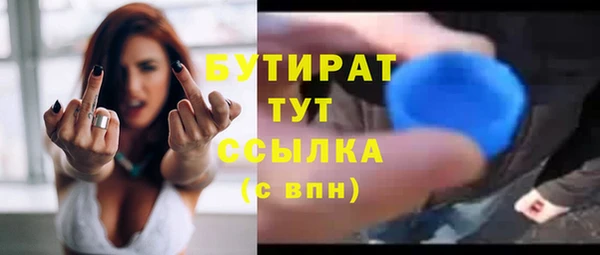 шишки Новодвинск