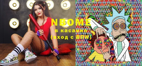 шишки Новодвинск
