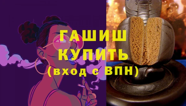 шишки Новодвинск