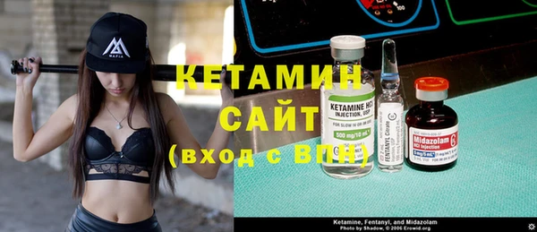 шишки Новодвинск