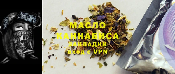 шишки Новодвинск