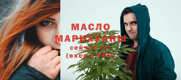 шишки Новодвинск