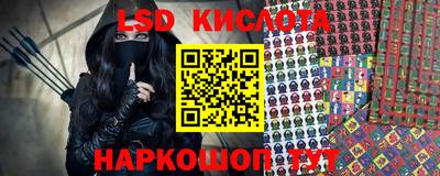 СК Бийск
