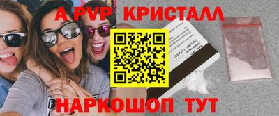 СК Бийск