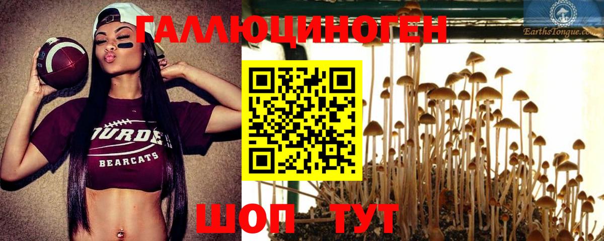 Галлюциногенные грибы Psilocybe  Вход с VPN  Псилоцибиновые грибы Psilocybe  Когалым 